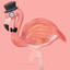 Ringo The Flamingo