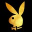 playboy