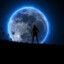 Shadowshas