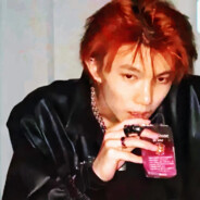 哥本哈根的斑马.