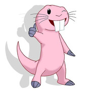 Анальный червь