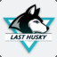 Last_Husky