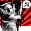 Communist Koala