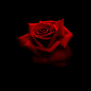 Onixx - steam id 76561199565036159