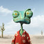 RaNGo17