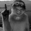 MoNkEyGrIlA_(-_-)_