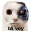 IA VOY