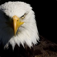 NΞSS          |Pvpro.com - steam id 76561198202147729
