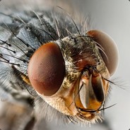 Flycatcher - steam id 76561197961430173