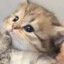 purr
