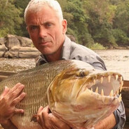 我来不及道声不安