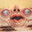 ֎flying_Economy ᵒᴥᵒ