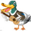 ✠PATO SARDELLI✠