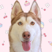 叫你妈和我对线