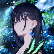 soli - steam id 76561197960559119