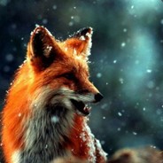 ♛ F'ox-dA-KinG ♛