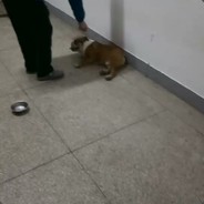 心宗 蜡 自由的四界~~