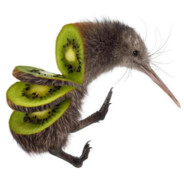 Kiwi