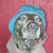 прищепконос