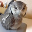 Owls_Right