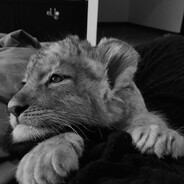 𝕷𝖎𝖓𝖔𝖈𝖍𝖐𝖆