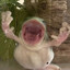 froggie