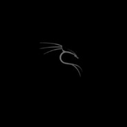 彡彡DarkForce彡彡 - steam id 76561199681920298