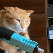 赌你枪里没子弹-燕双鹰