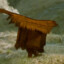 orihsot