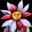 Evil Flowers's avatar