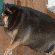 Чеееек