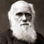 C.Darwin