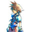 sora