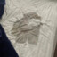 Sus bed wetter