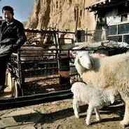 山沟沟的小处男