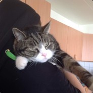 EnvY - steam id 76561197961214733
