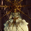 Gwyn :3