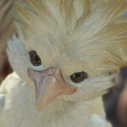 离婚之后还留着你的手套