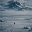 kdog