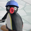 pingu l&#039;antipatico