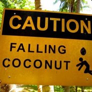 coconut - steam id 76561197960535096