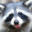 trash_panda