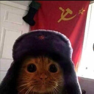 Towarzysz Timi