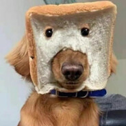 身边都是单身狗