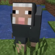 WoterSheep