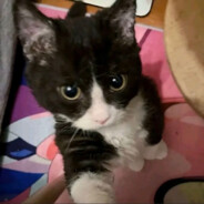 给你笑脸给多了.