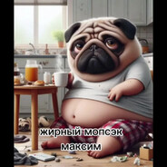 я мопс мне пофиг