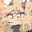 Yuri.Dog's Avatar