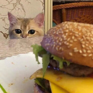 Avatar of player Fatburger Naps