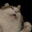 tfw :-)